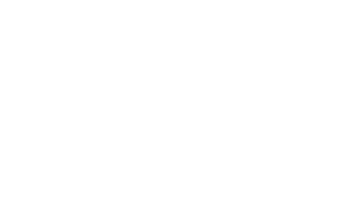 Ski Sport Luggi, Website